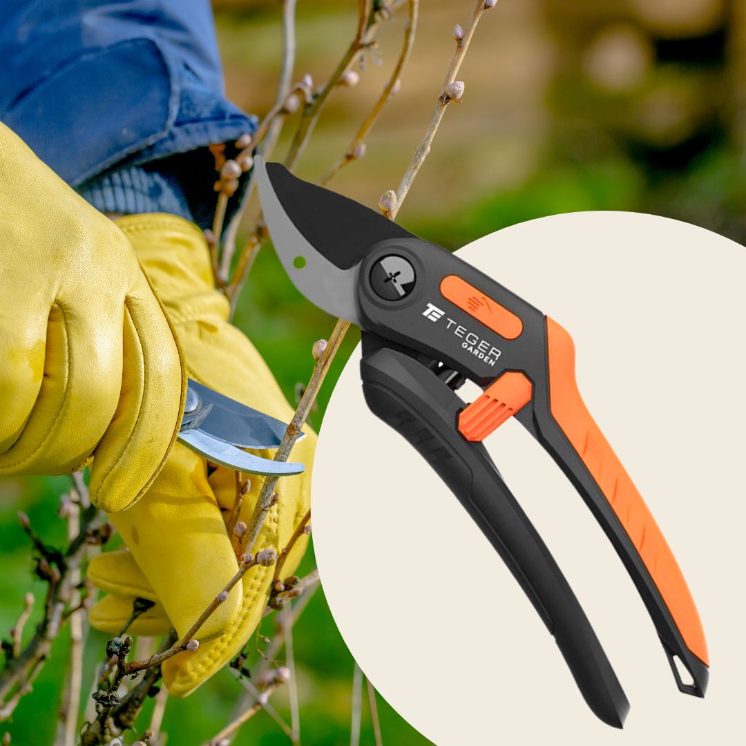 Sekator nożycowy - jednoręczny / TEGER - obrazek 2