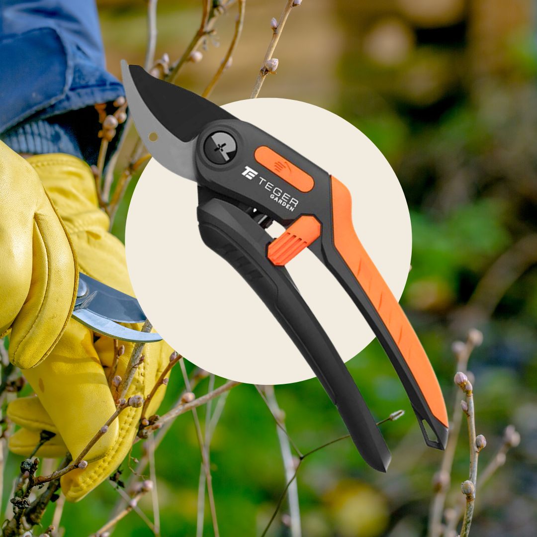 Sekator nożycowy - jednoręczny / TEGER - obrazek 6